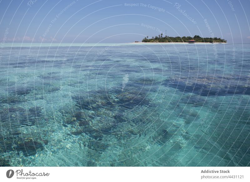 Blue fresh ocean water. Background of transparent sea water and