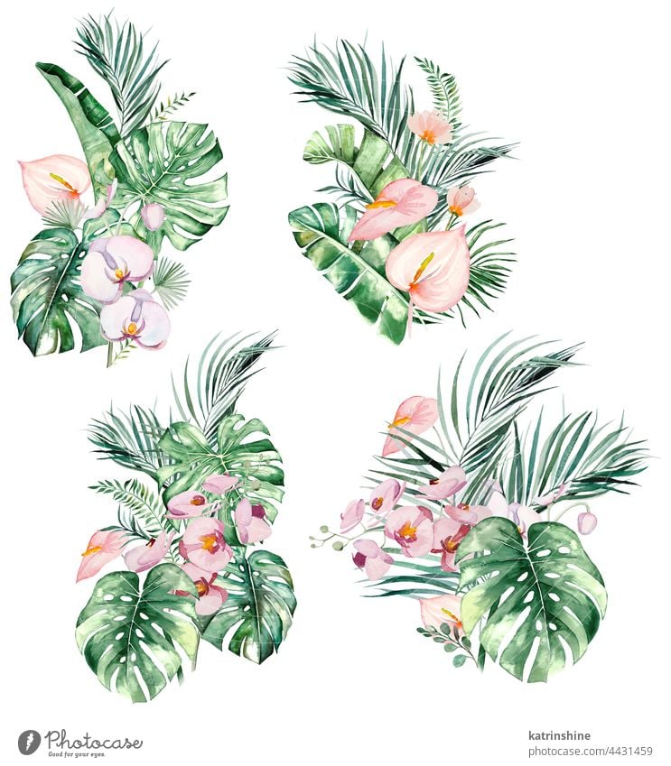 Watercolor pink tropical leaves and flowers bouquets isolated illustration Drawing Element Exotic Hand drawn Isolated Ornament Painted Set Sketch acuqerelle