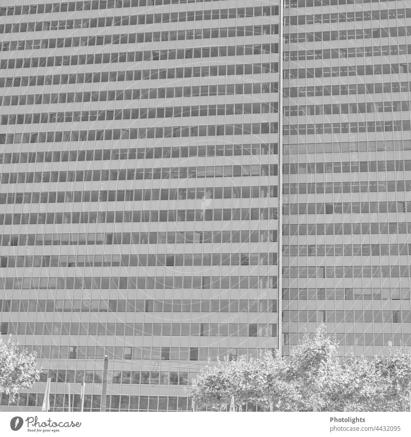 Facade of a skyscraper in black and white Black & white photo High-rise Gray Window Architecture Building House (Residential Structure) Town Exterior shot