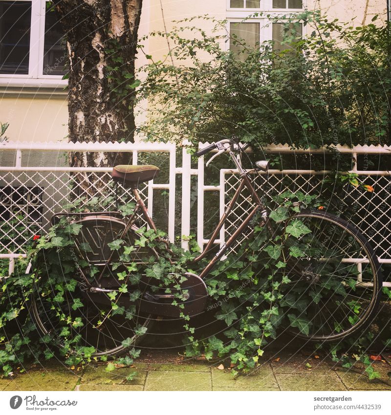 Climate Neutral Bicycle climate reversal Ivy Forget Exterior shot Deserted Colour photo Day Old Means of transport Leisure and hobbies Fence Residential area