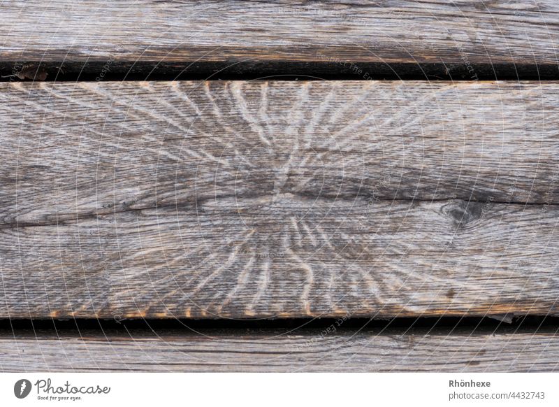 graining in the plank Wood Wooden board Wood grain Structures and shapes Colour photo Deserted Exterior shot Pattern Day Subdued colour Weathered Contrast