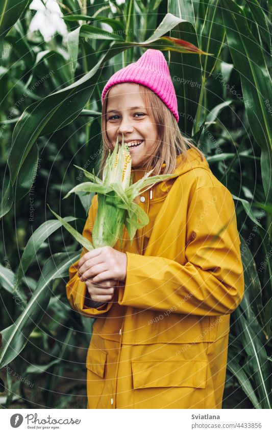 Stylish teenage girl in yellow raincoat and hot pink hat laughing on corn field autumn child cornfield cap cloak lifestyle play cute rural plant nature harvest