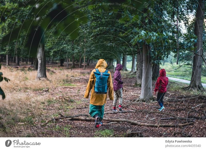 Parent and children walking in the forest Drents-Friese Wold hike hiking rain raincoat autumn vacation travel active adventure summertime day freedom holiday