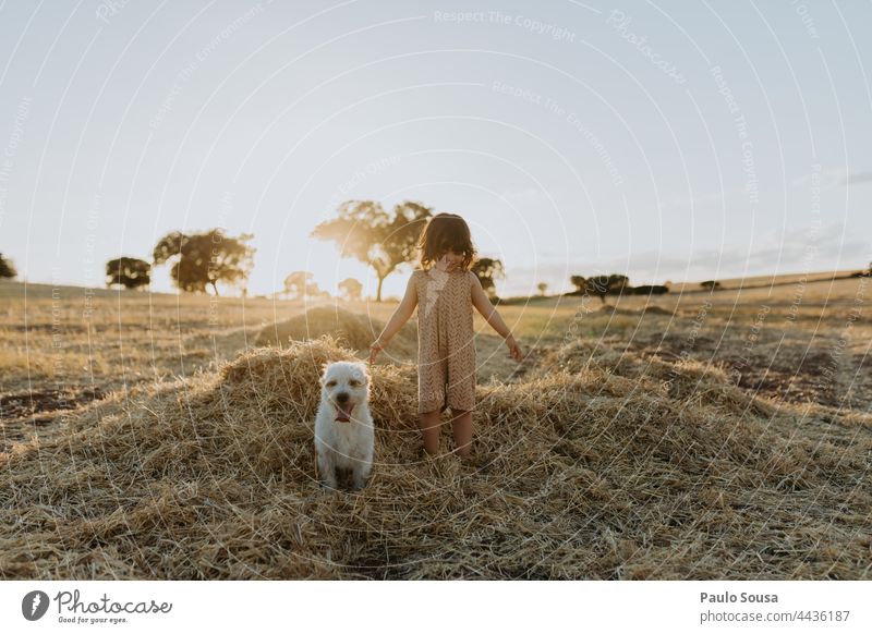 Cute girl playing in the fields with dog Child Girl Authentic Summer Dog Pet cute Happy Colour photo pet animal Animal Together Friendship Lifestyle together