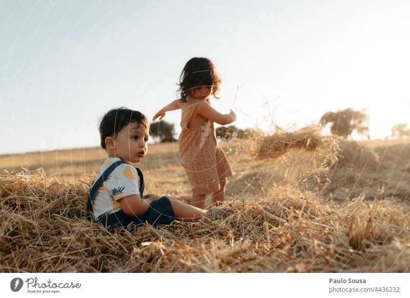 Brother and sister playing with hay Brothers and sisters Family & Relations Summer Hay having fun 1 - 3 years Caucasian Child Infancy Colour photo Human being