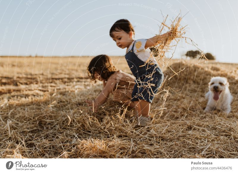 Brother and sister playing with hay in the fields Family & Relations Brothers and sisters Child childhood Innocent Authentic Playing fall Summer Sunset Sunlight