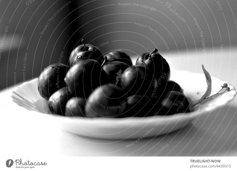 Plums in black and white. Actually they are blue. Background white gray. fruit Stone fruit Fresh Harvest organic salubriously vitamins Plate Full White Table