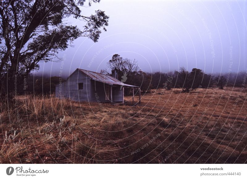 Old wooden shack in the mountains Adventure Mountain House (Residential Structure) Environment Clouds Storm clouds Autumn Bad weather Gale Fog Tree Grass Hut