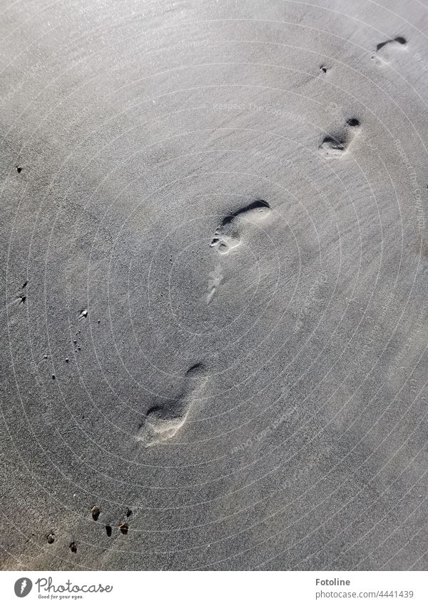 Tracks in the sand on the beach run diagonally footprint Footprint footprints Exterior shot Day Deserted Gray beach sand daylight Detail detail detailed