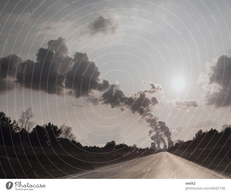 water vapour power station Lausitz forest cooling tower Environment Exhaust gas Industry Panorama (View) Long shot Sunlight Contrast Shadow Light Colour photo