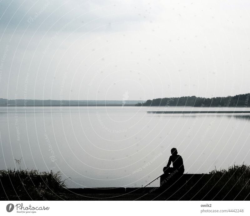 contemplation Human being Young man Angler Loneliness Exterior shot Colour photo Idyll Far-off places Illuminate coast Beautiful weather Horizon Water Landscape