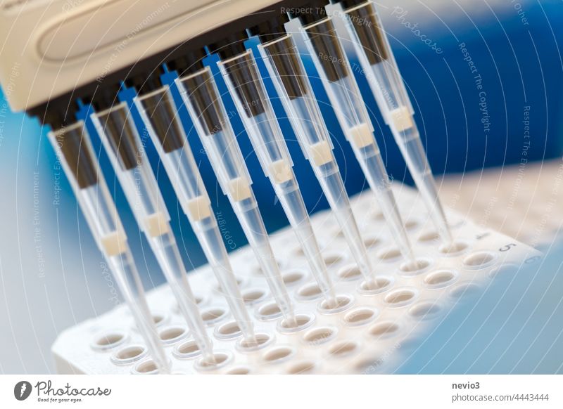Researcher pipettes SARS_CoV-2 samples onto a plate with a multichannel pipette investigator who studies glove Woman Chemist Equipment Competence lab assistant