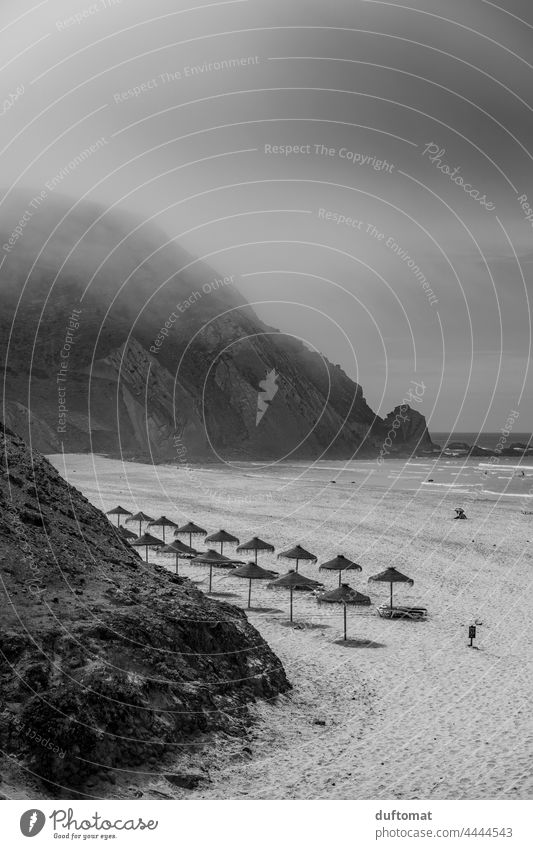 Bast sunshades on the beach in black white Beach Sunshade black and white Monochrome Ocean Fog breeze ocean Vacation & Travel Sand Cliff coast Landscape Smooth