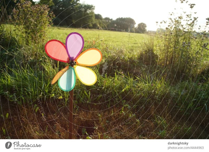 Colorful small windmill in front of a green meadow with backlight, toy as a metaphor Pinwheel wind power ecology Environment renewable energies Joy Nature