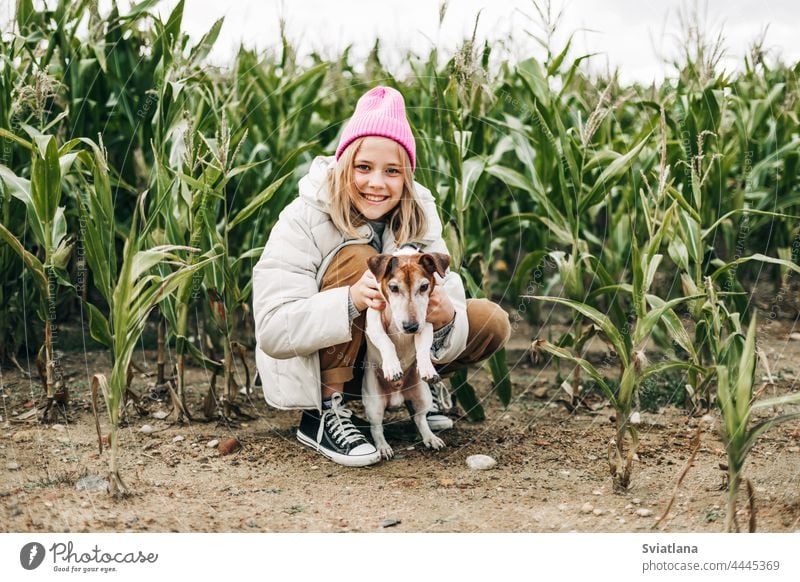 Happy teenage girl hugging her dog Jack Russell terrier in a field against a background of a cornfield in autumn teenager pink childhood pet people person