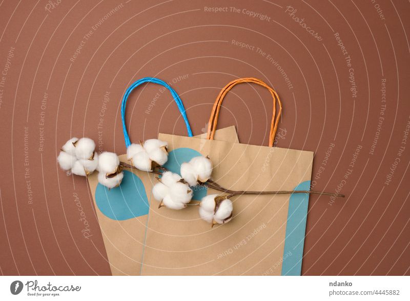 paper bag and a branch with cotton flowers on a light brown background, zero waste agriculture ball beige bloom blossom boll botany bud composition cultivated