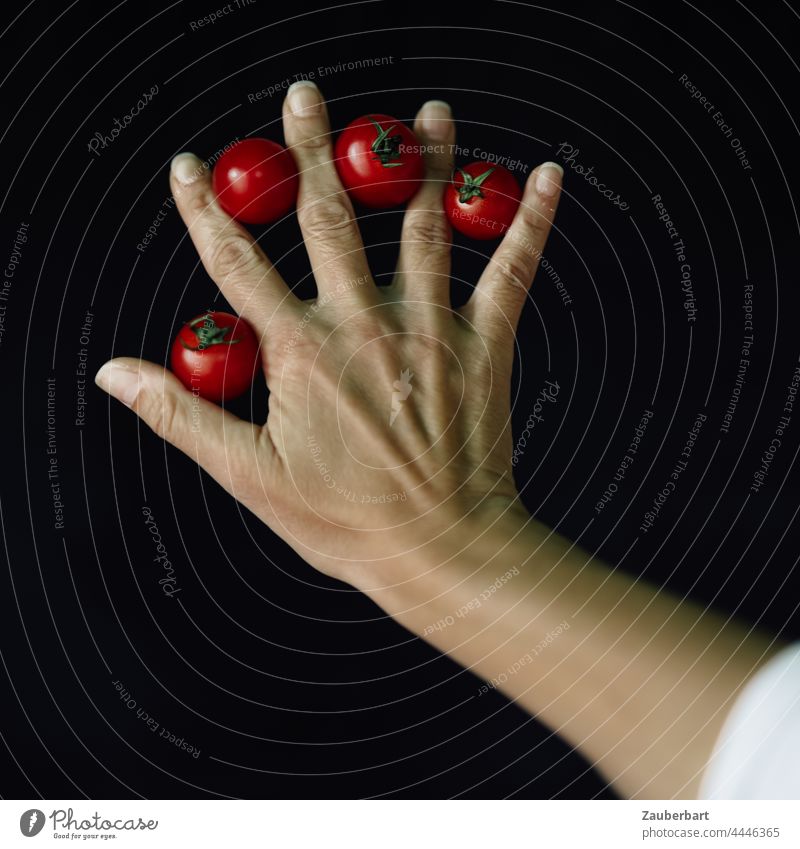 Hand with four small red tomatoes against black background Fingers Red Black arm Art Vegetable Fresh Tomato Food Nutrition naturally Vegetarian diet Diet Splay