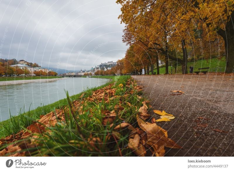 Autumn leaves covered path along the Salzach river with view of the old town of Salzburg, Austria River Tree To fall foliage Nature Town Leaf Landscape Outdoors