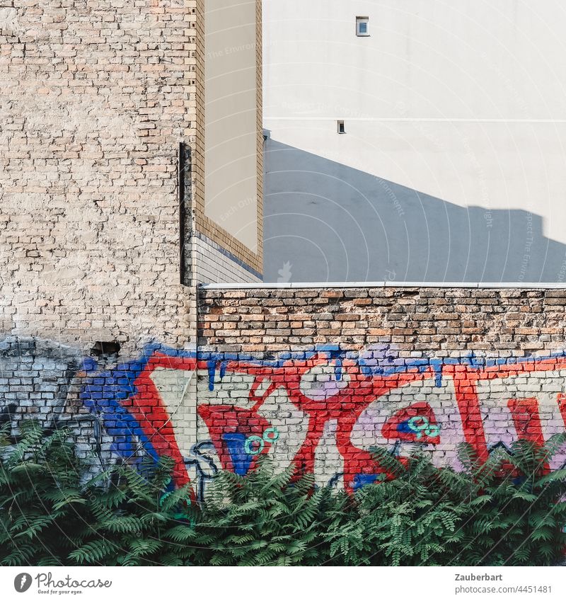 Brick wall with graffiti in red, blue and white, wall and shadow, in front green plants Graffiti Shadow Wall (building) brick angles City Town Wall (barrier)