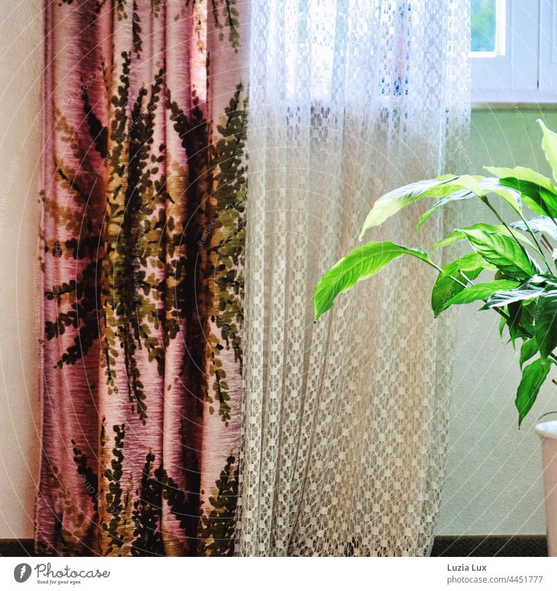 homely still life with curtains, view, light and single leaf Still Life at home Homey dwell Window Light Curtain Drape Point outlook Living or residing White