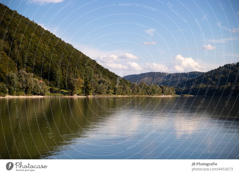 Reflection in the Danube Body of water Reflection in the water Summer Austria River Exterior shot Water Green Sun Shadow Sky Deserted Forest Colour photo Flow