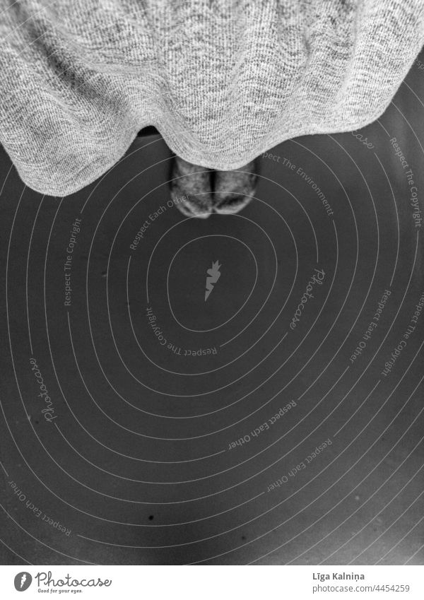 High angle view of feet Feet Minimal minimal Minimalistic minimalism Legs background Minimal black high angle view Simple