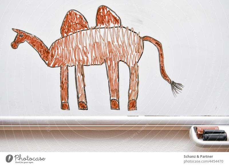 Children drawing: Camel on whiteboard Animal Drawing Children's drawing Felt tip pens Hump naive Painting and drawing (object) Art Painted Colour Creativity