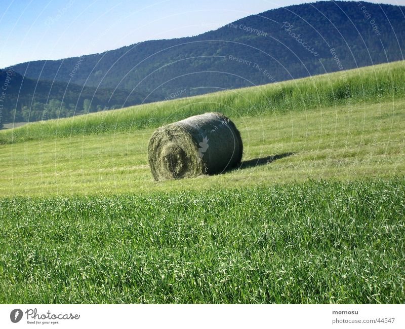 rollerball Hay bale Field Meadow Hill Green Mountain Harvest