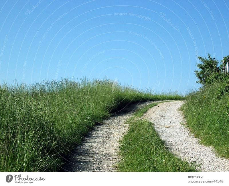 away to blue Meadow Grass Field Footpath Street Lanes & trails Sky Tracks