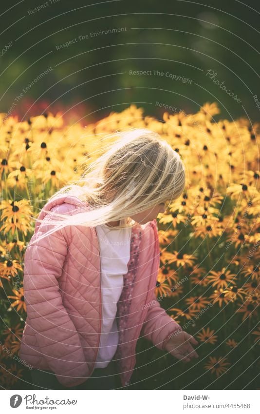 pretty blonde girl in front of a flower meadow Girl Flower meadow Child Summer Illuminate Nature Infancy close to nature world Beauty & Beauty explore