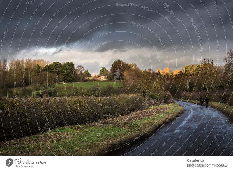 Dark, autumnal landscape, two people on the country road, on the horizon a building and old, tall trees, thunderstorm coming up Landscape Street Country road