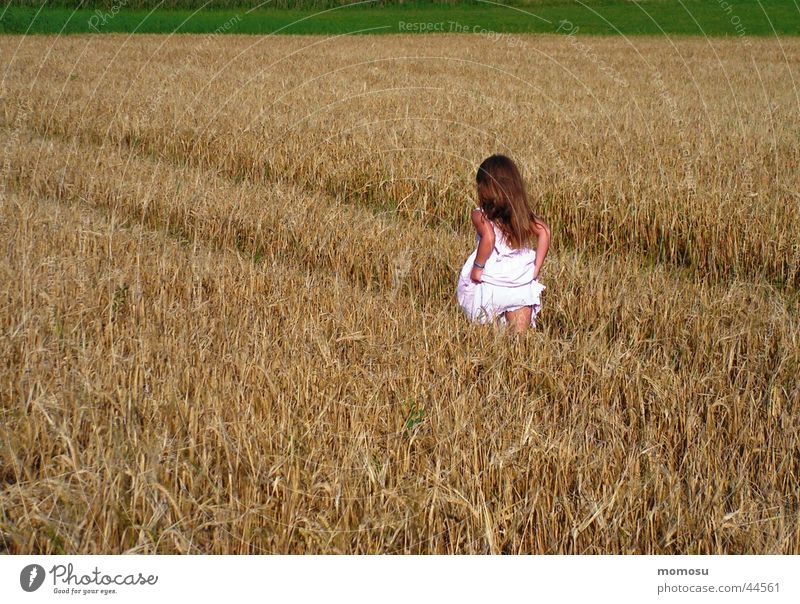 up and away Field Child Grass Dress Grain Hair and hairstyles Walking Escape Summer