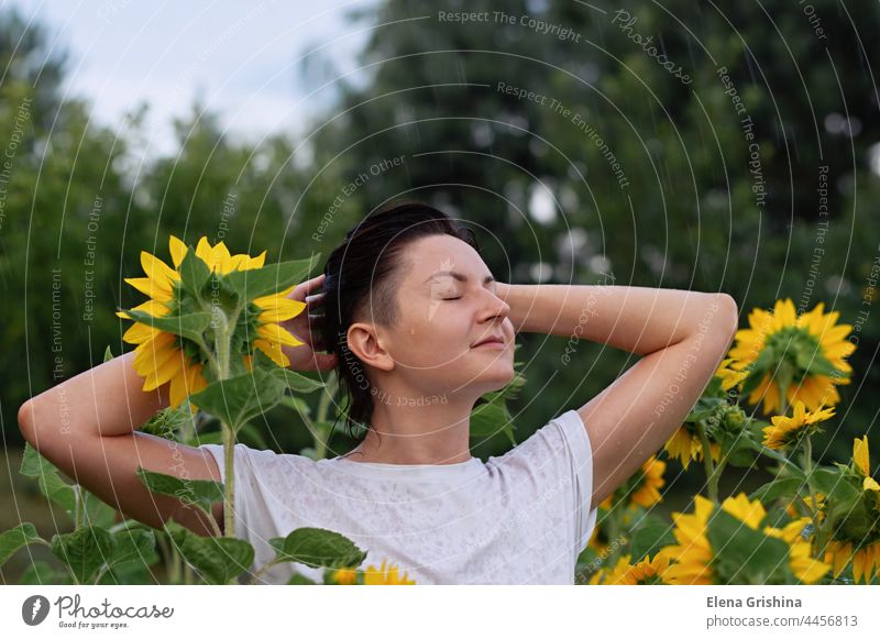 A young girl stands in the summer rain in a field with sunflowers. wet white shirt wet clothes drops happy closed eyes wet hair brunette hands raised natural
