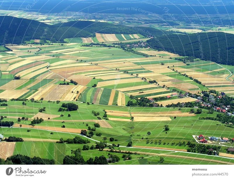 farsightedness Field Meadow Forest Vantage point Panorama (View) Bird's-eye view Mountain Review Far-off places Large