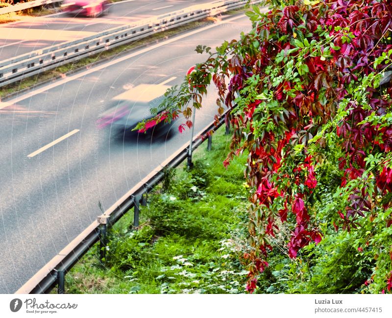 Federal road, speed and autumn colours Street Federal highway swift Speed Transport Movement blurriness urban hazy Vehicle car cars Red Green Autumn