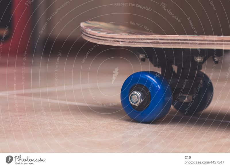 Side view of blue plastic wheels of a skateboard indoors activity adrenaline angle asphalt athletic background balance black carefree closeup culture detail