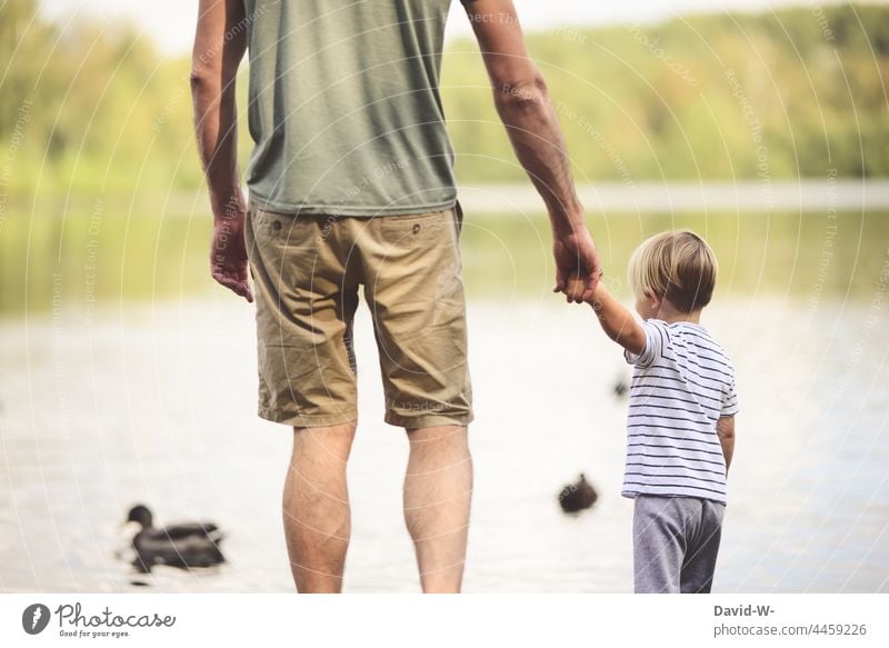 Father and son watching the ducks at the lake together Son in common at the same time Family hands stop Hold hands Hand Trust Nature out Together Parents