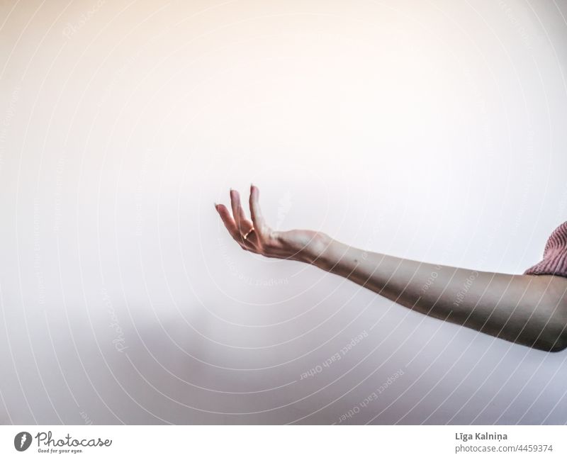 Arm reaching Hand Palm Palm of the hand Fingers Minimalistic Street body part Conceptual design Body Neutral Background palm wrist Gesture Human being