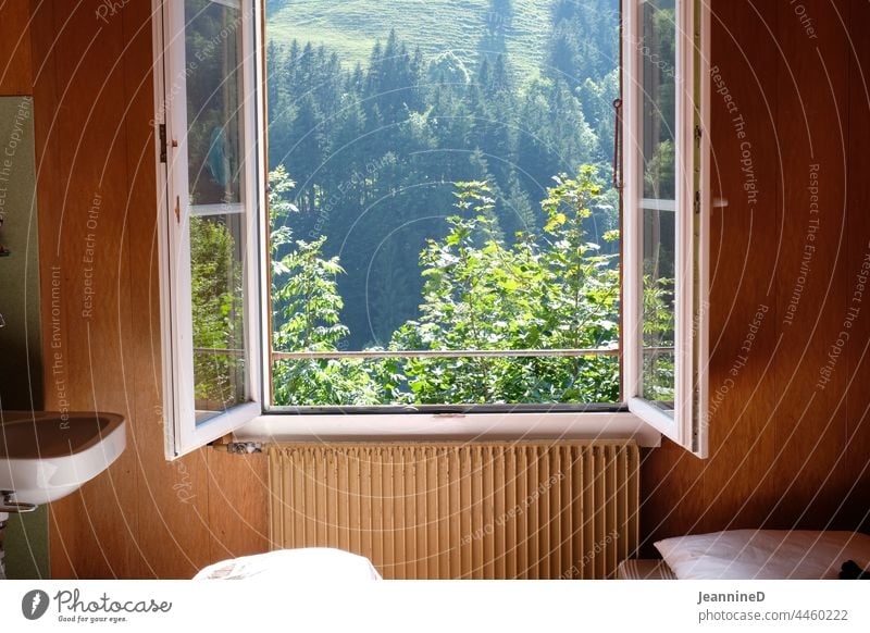 open window with view into the nature, inside with old-fashioned design Window House (Residential Structure) Depot View through the window