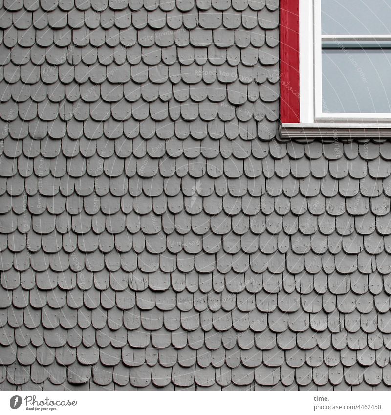 filigree | wooden shingles Facade Window Gray overlap structure Pattern scale pattern exterior wall Architecture Wood Building urban Design architectonically