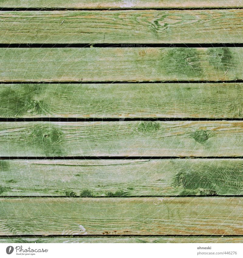 wood Facade Wooden board Green Wood grain Seam Line Colour photo Exterior shot Abstract Pattern Structures and shapes Copy Space top Copy Space bottom