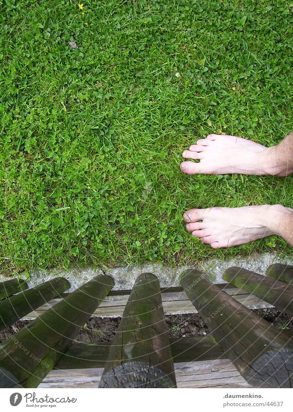 Feet meet grass Grass Meadow Fence Green Brown Hesitate Barefoot Man Leisure and hobbies Lawn Senses Emotions Inspiration To enjoy