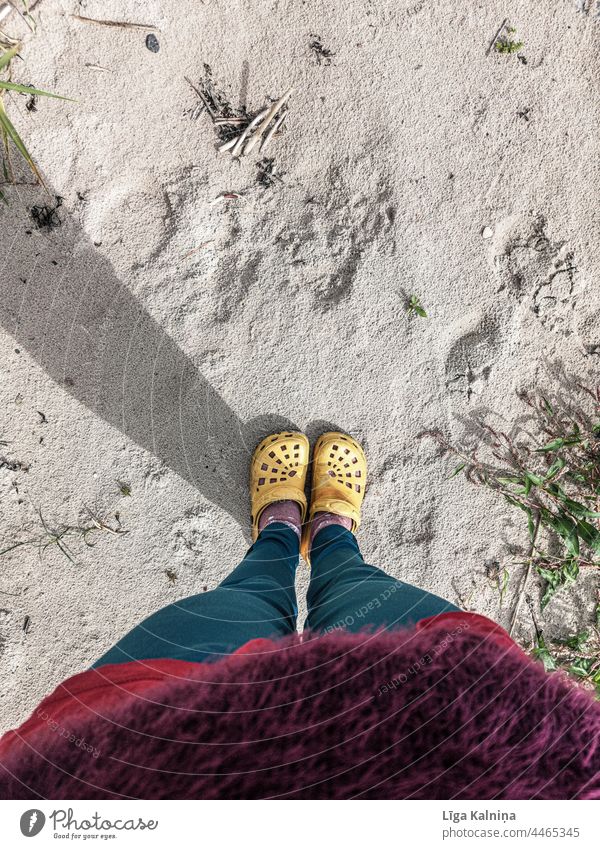 High angle view of crocs at beach Shoes Footwear shoes Feet Legs Woman Clothing Colour photo Yellow Human being Stand Fashion Pants Multicoloured Beach comfort