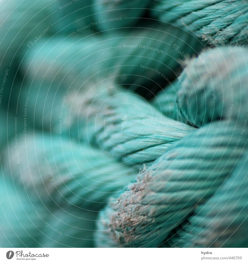 rope team Sailing Fishery Success Rope Hawser Navigation Harbour Plastic Knot Network To hold on Firm Strong Green Turquoise Power Willpower Might Safety