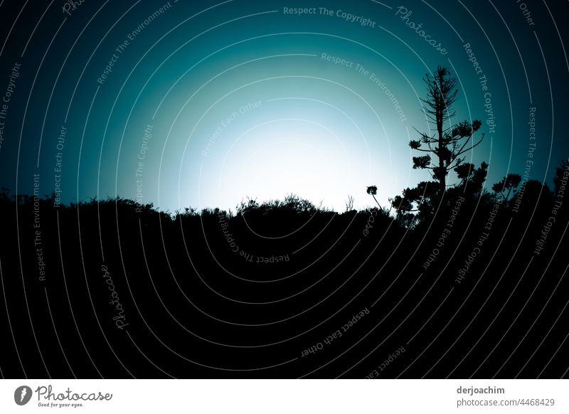 Behind the hill with plants, a bright glow appears against the already darkened sky. The sun sets on the horizon. Sunset in the evening Twilight Summer Deserted