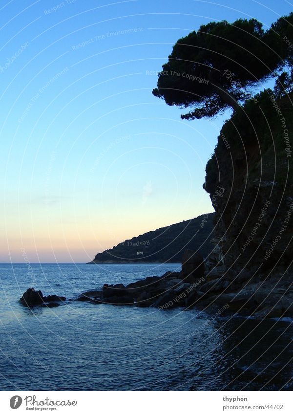 Bay at dusk Tree Twilight Ocean Elba Italy Silhouette Island Rock