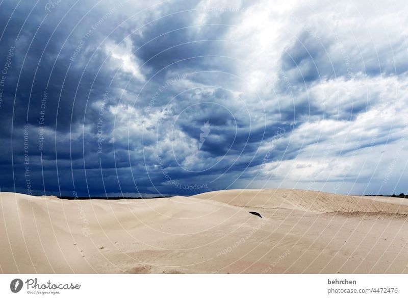 sky spectacle Gravel plant Dramatic dunes Sky Dramatic art Environment Clouds Rain Nature Climate Gale Sand Storm Climate change Exterior shot Weather