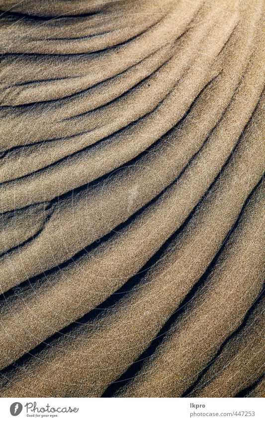 abstract texture of a dry sand and the beach Vacation & Travel Tourism Trip Summer Beach Island Nature Sand Rock Coast River Stone Dirty Brown Yellow Gray Black