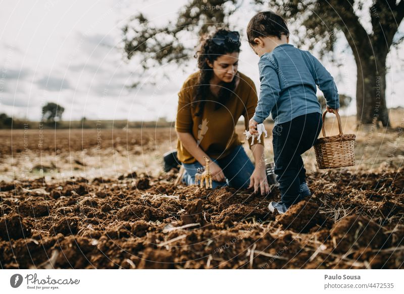 Mother and Son playing on plowed field motherhood Mother with child Child two people togetherness Infancy Together Lifestyle care Woman Autumn Authentic