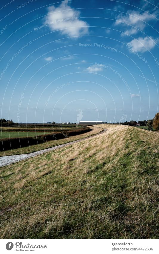 Ems dike near Hohegaste Dike East Frisland Empty Northern Germany late summer late summerly Evening sun Lower Saxony Landscape Exterior shot Authentic Deserted